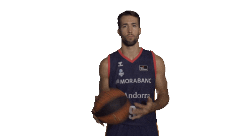 Liga Endesa Basketball Sticker by ACB