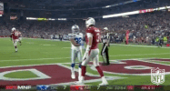 Arizona Cardinals Football GIF by NFL