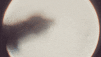 Water Artist GIF by Reuben Armstrong