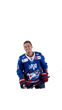 Eishockey Sticker by Adler Mannheim