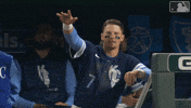 Celebration Win GIF by Kansas City Royals