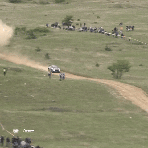 High Speed Close Call GIF by FIA European Rally Championship