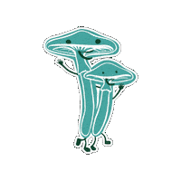 Festival Sticker by STGM