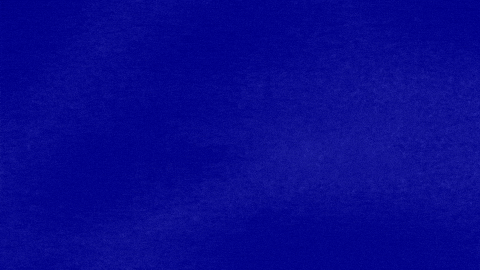 Pardonmyfrench GIF by Jeopardy!