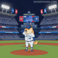 Nervous Toronto Blue Jays GIF by Doge Pound