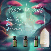 Essential Oils Peace GIF by Jennifer Accomando