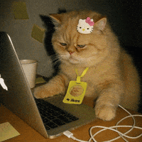 Working Hello Kitty GIF by Salih Kizilkaya