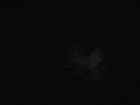 Tony Todd GIF by Sam Dew