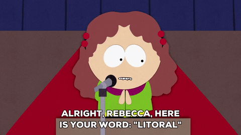 spelling bee rebecca cotswold GIF by South Park 