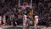 Nba Playoffs Sport GIF by NBA