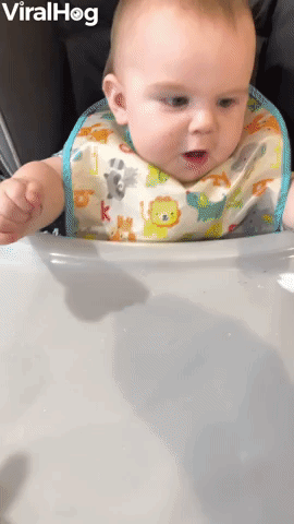 Baby Confused by First Encounter With Whipped Cream