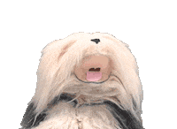 Samson En Gert Sticker by Studio 100