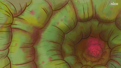 Scared Patrick Star GIF by SpongeBob SquarePants