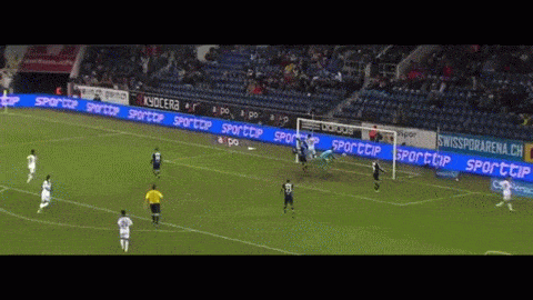 fc help GIF