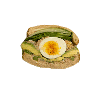 Egg Lunch Sticker