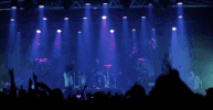 dance concert GIF by Mayday Parade