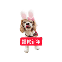 Dogs Love Sticker