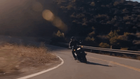 Ride GIF by Harley-Davidson
