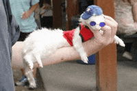 Chill Relaxing GIF by jOnNy'S wOrLd