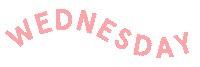 Wednesday Sticker by Lucie Fink