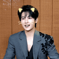 Cat Yangyang GIF