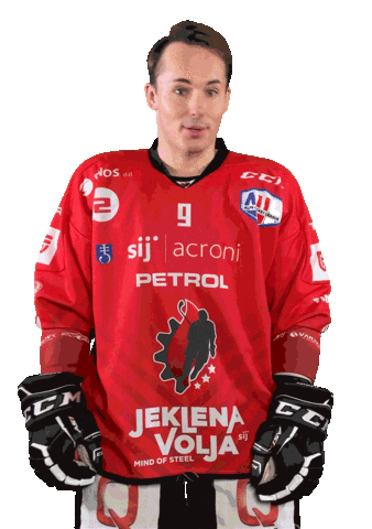 Hockey Hokej Sticker by HDD SIJ Acroni Jesenice