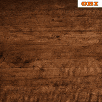 obi_russia  GIF