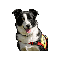 Rettungshund Sticker by Österreichische Rettungshundebrigade