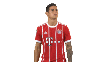 fc bayern what Sticker by Bundesliga