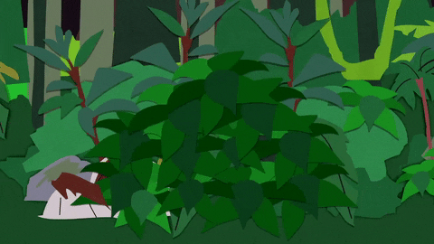 bushes what could it be? GIF by South Park 