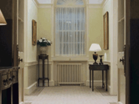 wtf GIF by franceinfo