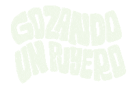 Christmas Venezuela Sticker by renavisual