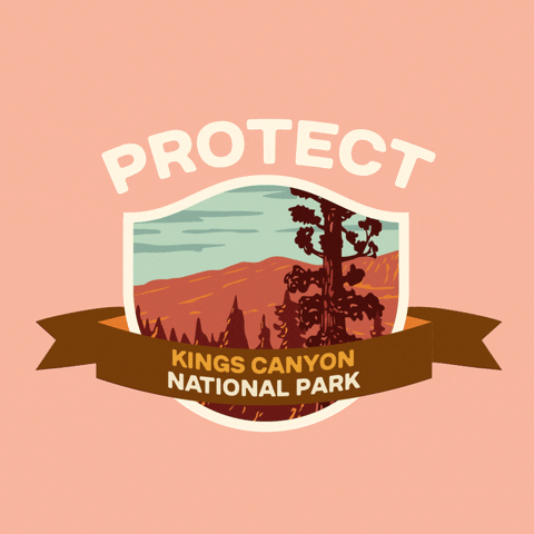Digital art gif. Inside a shield insignia is a cartoon image of a large, spindly pine tree against a background of red canyon rocks. Text above the shield reads, "protect." Text inside a ribbon overlaid over the shield reads, "Kings Canyon National Park," all against a pale pink backdrop.