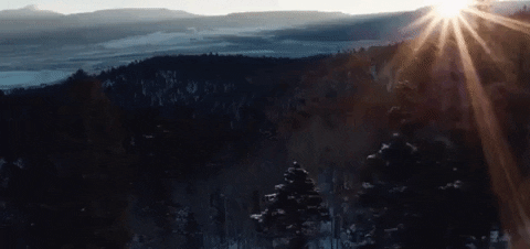 new mexico GIF