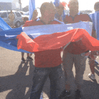 Flag Chile GIF by Univision Deportes