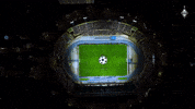 Almaty GIF by FC Kairat