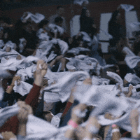 South Carolina Gamecocks Uofsc GIF by gamecocksonline