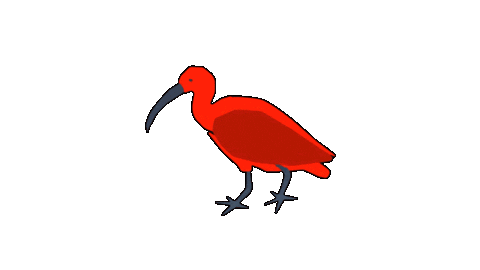 Bird Guaratuba Sticker by Guará Mapping Festival