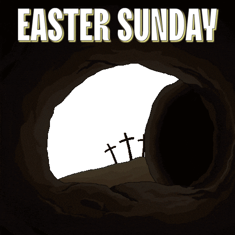 Easter Sunday Penguin GIF by Pudgy Penguins