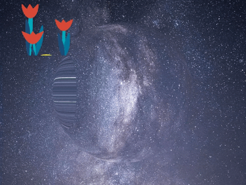 Germany Wow GIF by FranchiseCHECK.de