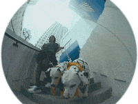 Moi Look At Us GIF by Lolo Zouaï