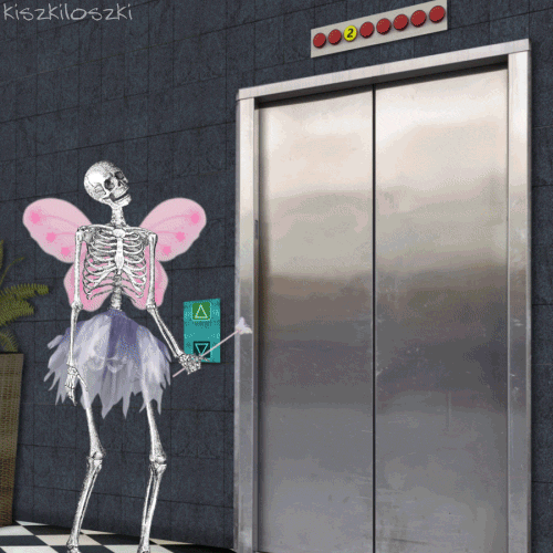 good morning hello GIF by Kiszkiloszki