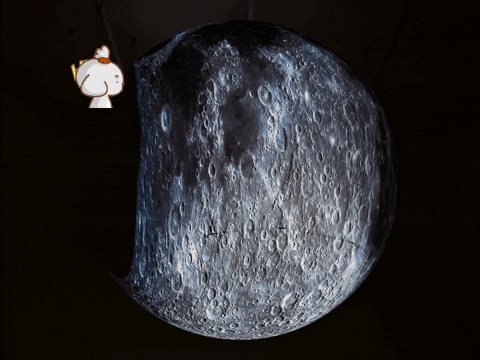 Germany Wow GIF by FranchiseONE.de