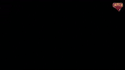 Cuc GIF by CUCougars