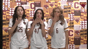 Cuc GIF by CUCougars