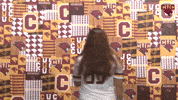 Cuc GIF by CUCougars