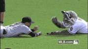 arizona diamondbacks GIF by MLB
