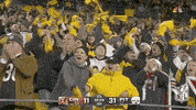 National Football League GIF by NFL