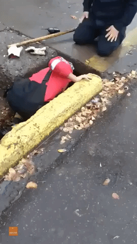 Argentinian Rescue Crew Pull Dog and Puppies From Muddy Drain
