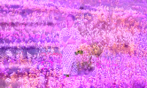 GIF by Canek